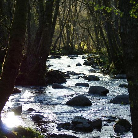 Le Gite De Chomet La Tour-dʼAuvergne Eksteriør billede