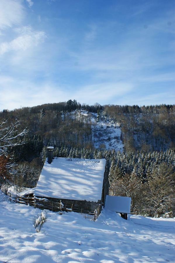 Le Gite De Chomet La Tour-dʼAuvergne Eksteriør billede